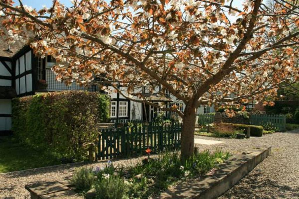 Peel Cottage, Dilwyn Номер фото
